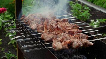 Savory meat skewers sizzling over hot barbecue coals, releasing fragrant smoke and promising mouthwatering flavor during outdoor summer cooking session video