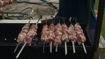 Professional chef grilling mouthwatering pork meat skewers over a barbecue in a garden, creating a delicious outdoor meal perfect for summer picnics and gatherings with family and friends video