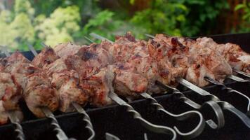 Delicious chunks of meat are grilling on skewers over hot coals, creating a mouthwatering aroma in a lush garden setting, perfect for a summer barbecue. Close up shot video