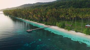 Above view of tropical coastline with quiet ocean and coconut palm trees on beach in Indonesia video
