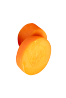 Two pieces of beautiful orange carrot slices in circle shape in stack isolated with clipping path in file format png