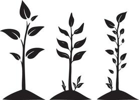 Black silhouette of growth stanges of tree leaf vector