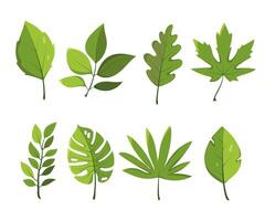 Set of different Tree Foliage. Realistic Spring Illustration of Lush Green Leaves and Branches. Nature-Inspired Forest Elements on White Background. vector