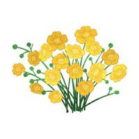 Colorful Illustration of Bouquet of Buttercups Isolated on White Background vector