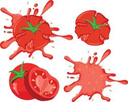 set of tomatoes of different types and shapes, namely a piece of tomato, crushed tomato and spilled tomato sauce, for various designs and posters vector