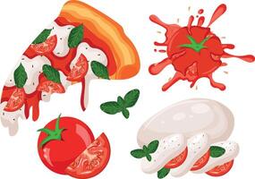 a set of icons of a slice of pizza, margaritas and the ingredients used to make this pizza, for various designs vector