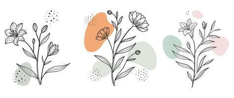 Floral Line Art with Abstract Pastel Shapes vector