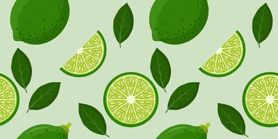 Seamless pattern with green limes vector
