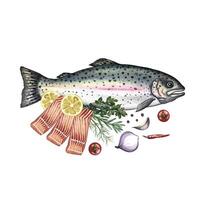 Trout, whole and sliced, with vegetables. A hand-drawn watercolor illustration. A color image of a fish dish. On a white background. For menus, recipe books, packages, labels, invitations. vector
