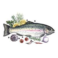 Trout, with lemon, herbs and vegetables. A hand-drawn watercolor illustration. A color image of a fish dish. Separate from the background. Perfect for menus, recipe books, packages, labels. vector