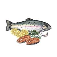 Trout, whole and sliced, with lemon and herbs. A hand-drawn watercolor illustration. A color image of a fish dish. Separate from the background. For menus, recipe books, packages, labels. vector