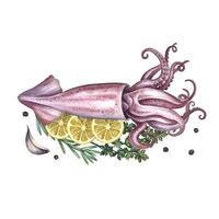 Squid with lemon and herbs. Handmade watercolor illustration. A color image of a seafood dish. Separate from the background. Perfect for menus, recipe books, packages, labels, invitations. vector