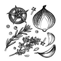 Vegetables, tomatoes, onions, garlic, herbs and spices. Hand-drawn illustration. Black and white image of food. Separate from the background. Perfect for menus, recipe books, packages, labels. vector