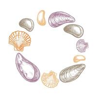 A round composition of shells and pebbles. Hand-drawn illustration. A color image of marine objects in a frame. Separate from the background. Perfect for packaging, labels and more. vector