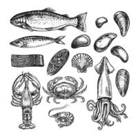 Seafood set, trout, mackerel and squid, crayfish, crabs and shrimps, mussels and marine elements. graphic illustrations made by hand. Black and white images in the form of clip-arts. Isolates. vector