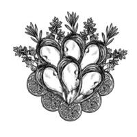 Mussels with lemon, parsley and rosemary. Hand-drawn illustration. Black and white image of seafood. Separate from the background. Suitable for menus, recipe books, packages, labels and banners vector