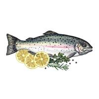 Trout with lemon and herbs. A hand-drawn watercolor illustration. A color image of a fish dish. Separate from the background. Perfect for menus, recipe books, packages, labels, invitations. vector
