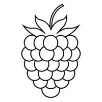 Raspberry fruit outline simple black and white drawing.Design elements or page of children's coloring book. vector