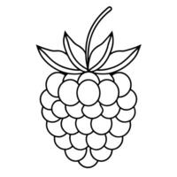 Raspberry fruit outline simple black and white drawing. vector