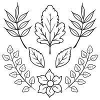 Botanical silhouettes floral leaf pattern. leaves isolated on white background. vector