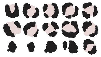 Leopard stains collection. Set of wild big cat spots isolated on white background. vector