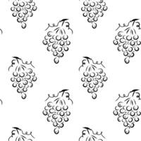 Grapes Seamless Pattern, cluster of grapes monochrome pattern vector