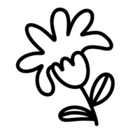 Simple flower outline cartoon, side view, the outline is uniform black, the lines are simple and not complicated. png
