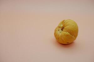 Single Avocado Pit on Soft White-Orange Backdrop photo