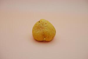 Fresh Avocado Seed with Smooth Surface on Light Orange Hue photo
