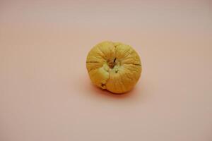 Minimalist Avocado Pit on White-Orange Gradient photo