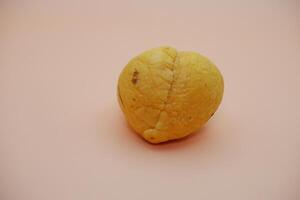 Clean Avocado Seed Isolated on a Warm White-Orange Background photo
