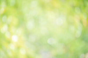 Defocused blurred background of greenery. Defocus lights round natural blurred plants. photo
