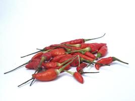 red chili isolated on white background photo