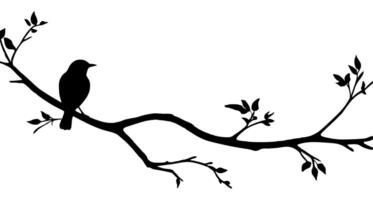 Bird on branch silhouette with a white background. vector