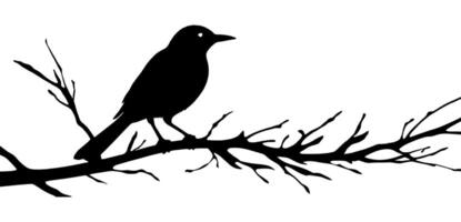 Black silhouette of a bird sitting on a branch vector