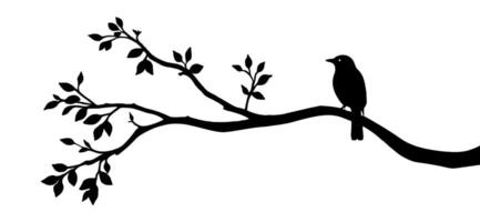 Bird on branch silhouette with white background. vector