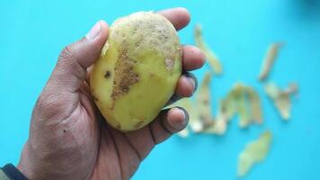 Unique potato peeling technique demonstrated on colorful background video