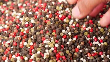 Discovering the colorful world of pepper varieties in a market video