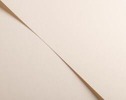 A beige paper background with a soft, understated texture and a uniform, neutral tone. Its delicate photo