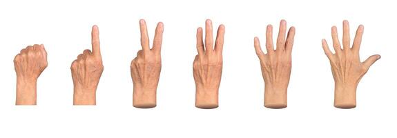 Senior female hand showing counting gestures. Wrinkled fingers displaying numbers from zero to five, photo