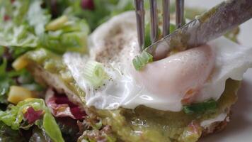 Avocado toast with poached egg and salad video