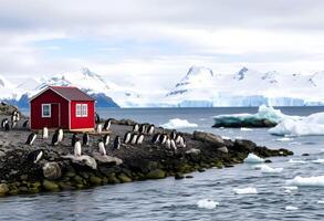 A red house with penguins on the shore near an iceberg photo