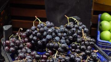Fresh black grapes displayed at local market for purchase video