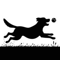 Dog running with ball vector