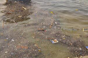 Polluted Water with Floating Trash Near Shore Environmental Issue photo