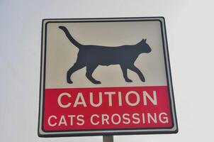 Caution Cats Crossing Sign Warning for Drivers and Pedestrians photo