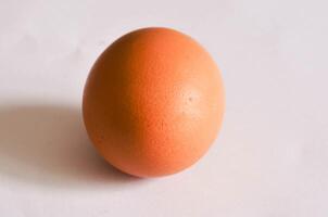 Chicken Egg on White Background Minimalist Food Photography photo