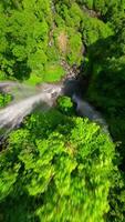 dinâmico fpv zangão mergulho perto a em cascata sekumpul cachoeira, Bali, Indonésia. video