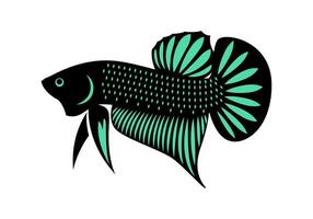 Betta Fish Graphics vector