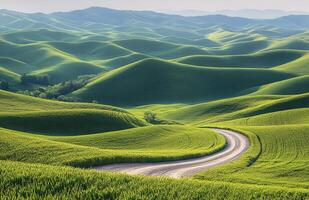 A winding road in a green field photo